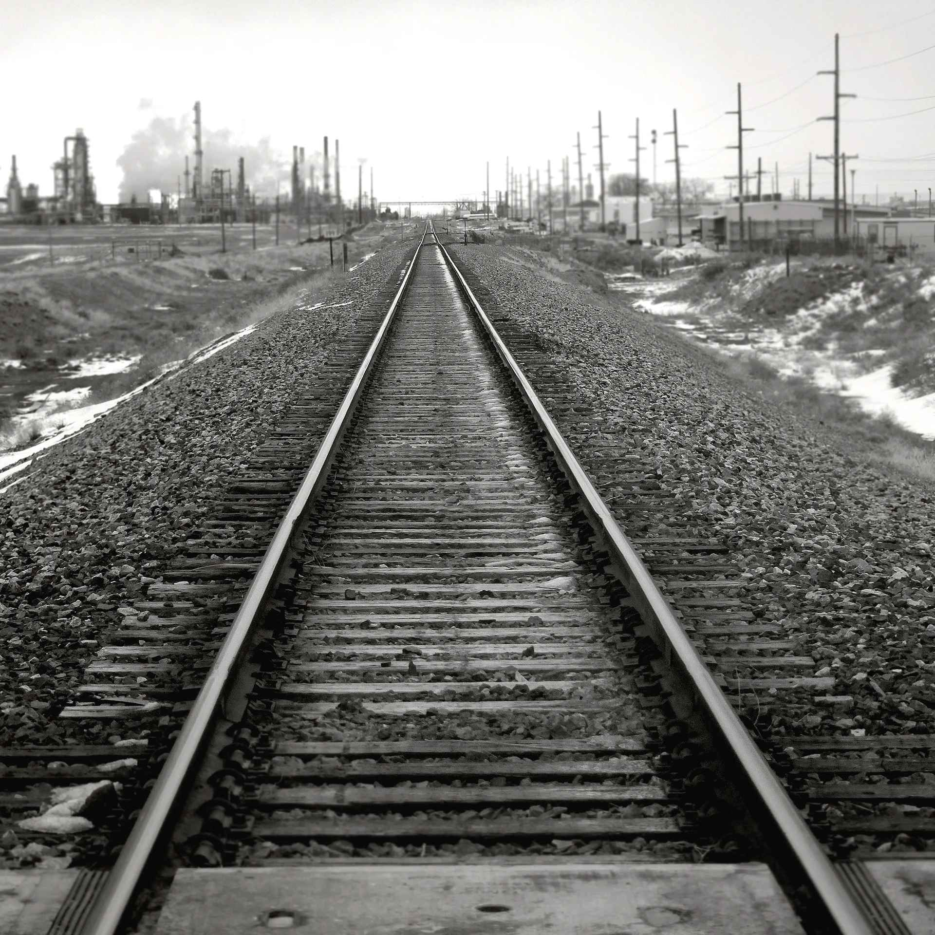 "Tracks" 13"x13" Photograph $250