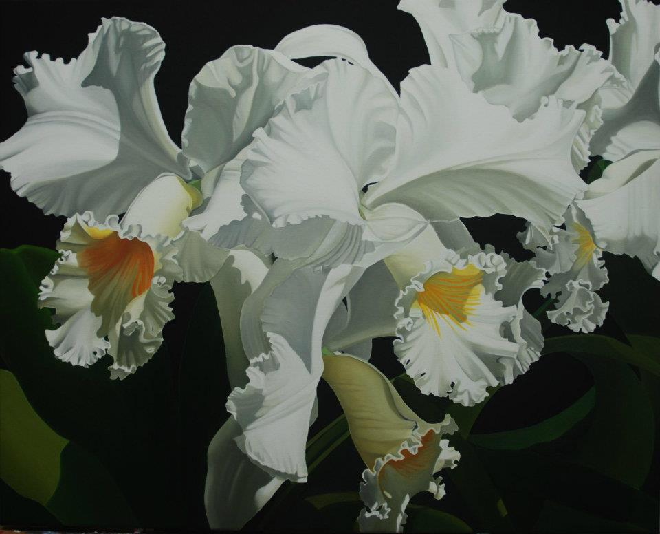"White Cattleya Orchids" 25"x20" Giclee $495 Paper Print $150