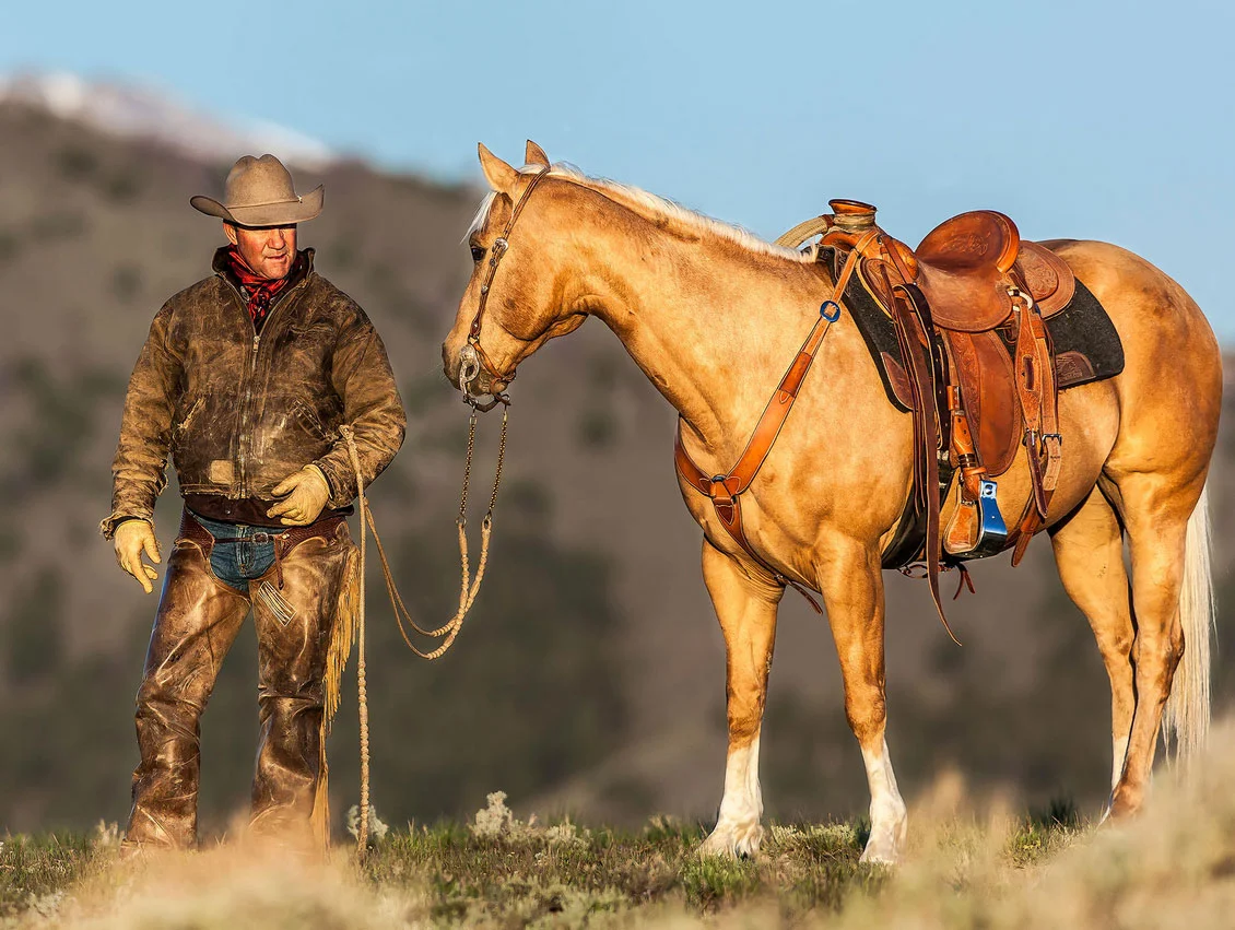 Watching the Herd Canvas Wrap $475