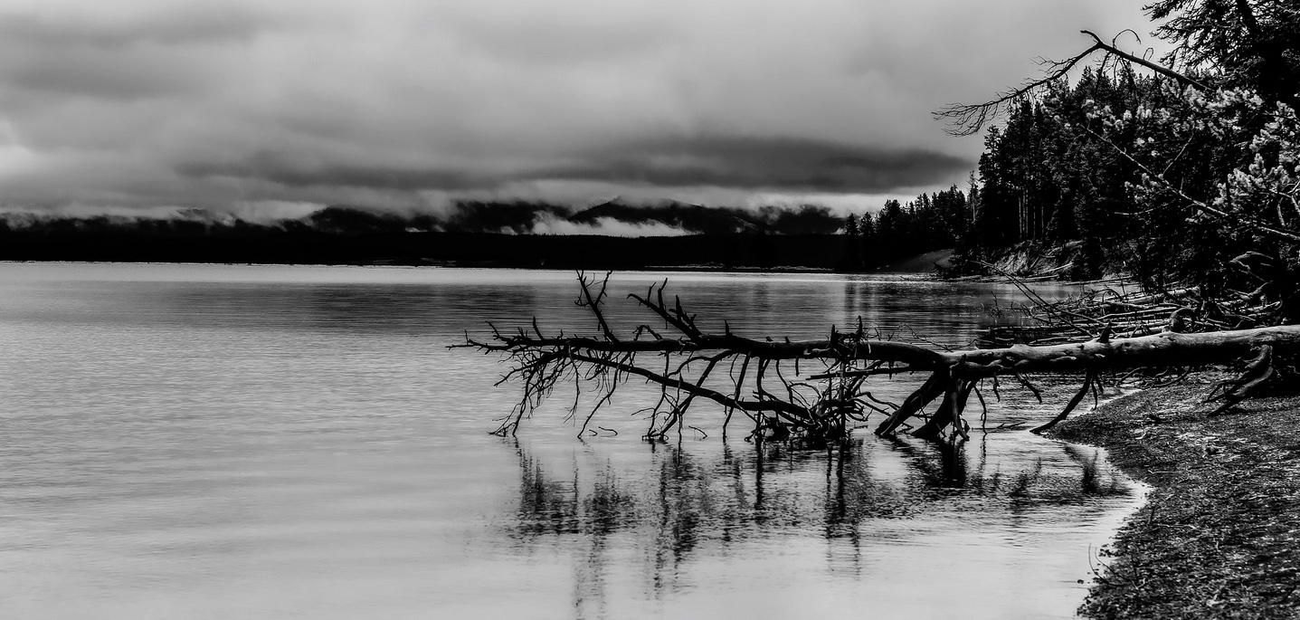 Cold Day on Yellowstone Lake Fine Art Framed $475