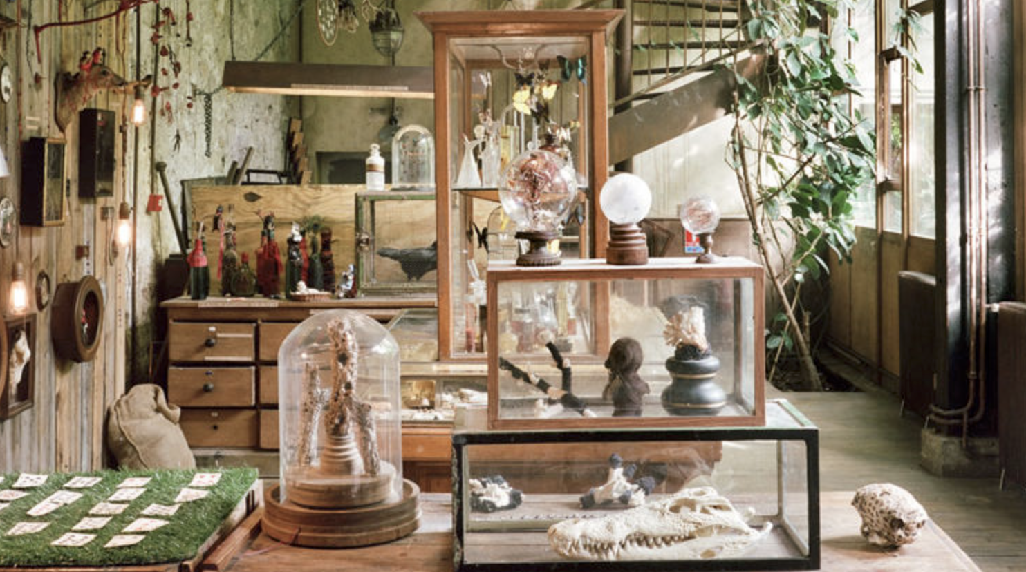 The Museum Cabinet