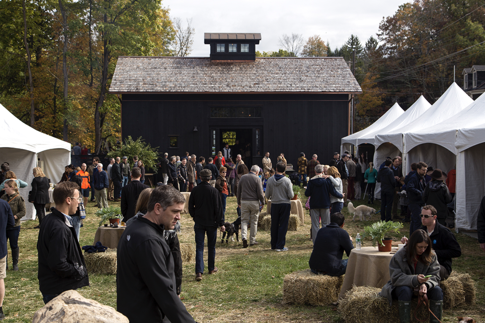 More Design Events Happening Now