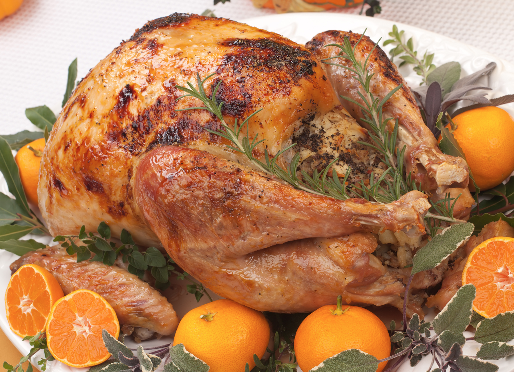 408-Talking Turkey-Harvest Eating Podcast