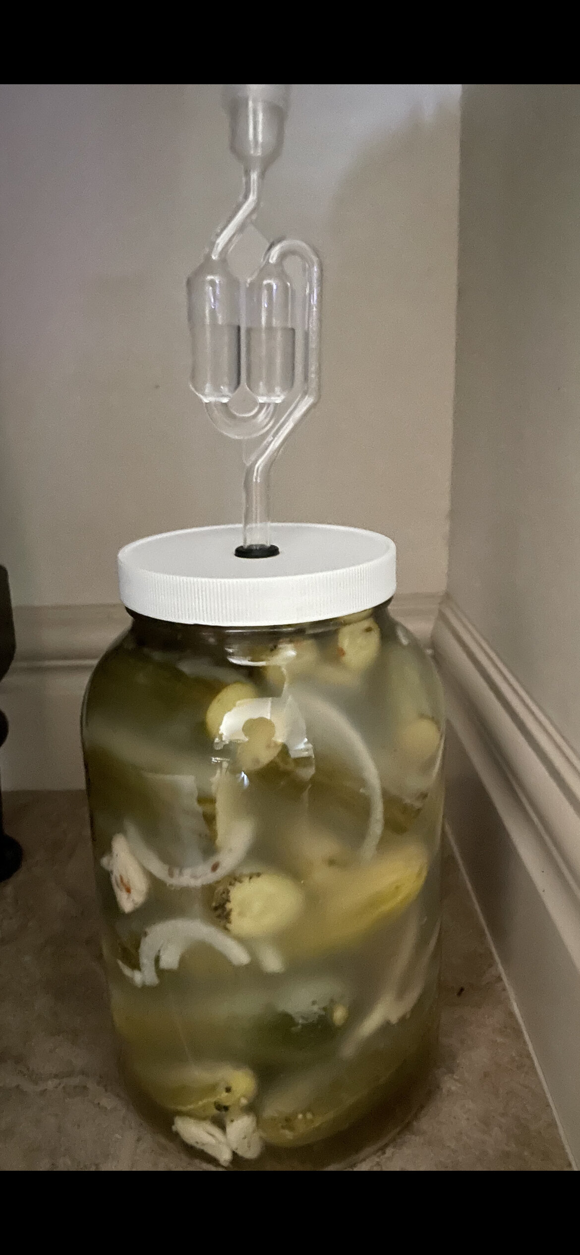 Episode 437-Canning &amp; Fermentation To Store Food, Making Pickles 
