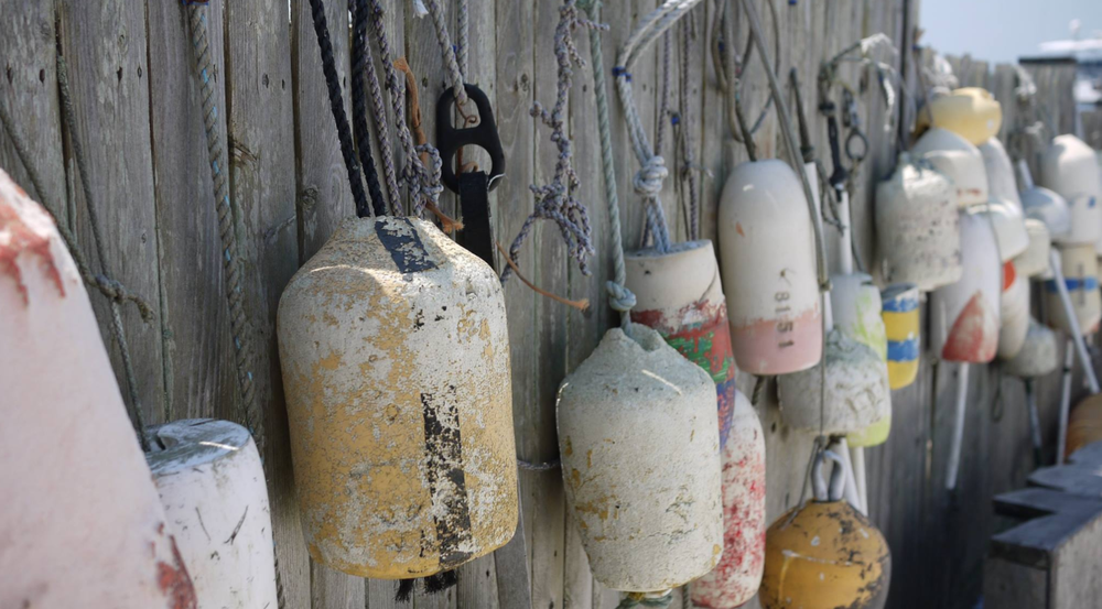 lobster-pots-woods-hole.png