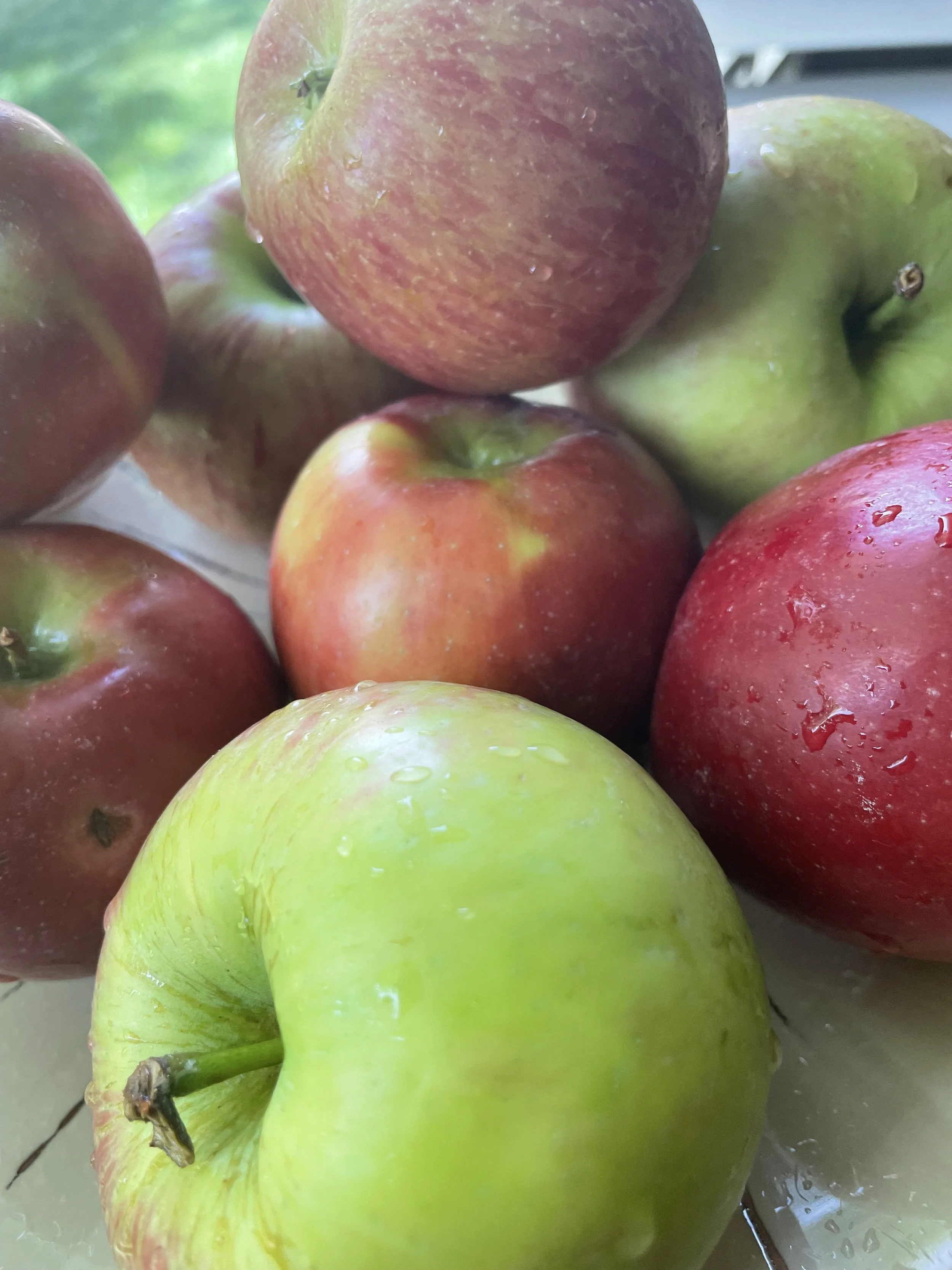 511-It's Apple Season-Cooking With Local Apples