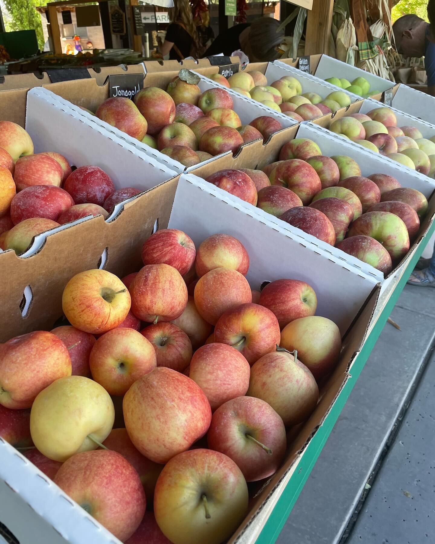 Fall is the perfect time to visit your local farm market/ stand and find yummy things to cook with so get after it! 
.
.
.
.
.
.

#autumnrecipes #autumn #fallrecipes #autumnvibes #food #foodphotography #pumpkin #healthyfood #recipes #k #foodie #pumpk