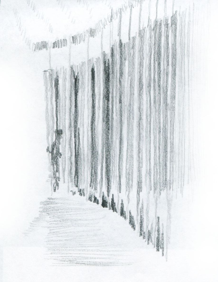 sketchingCW2013spr55.jpg