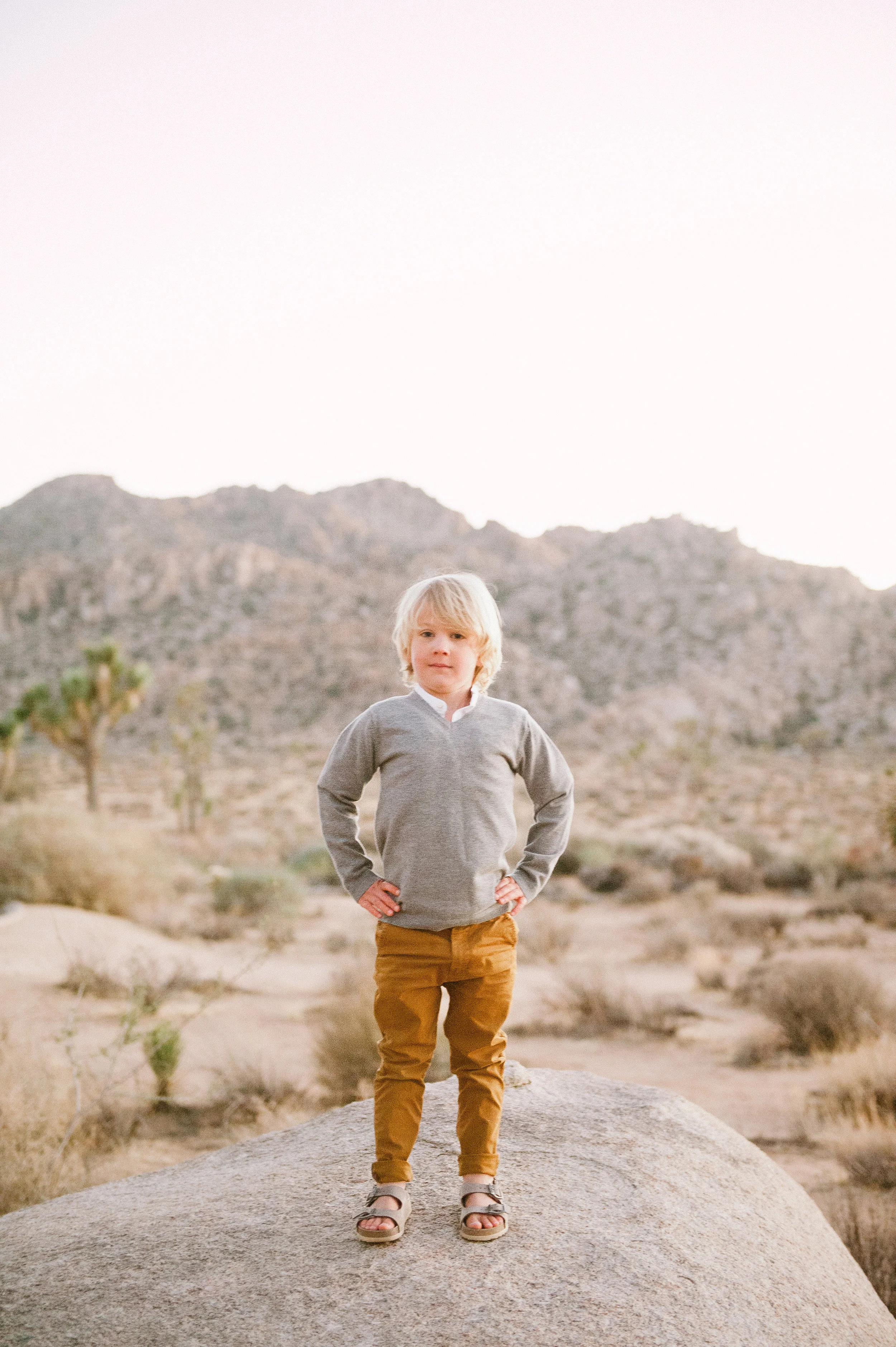 DamiciFamilyPhotos3.jpg