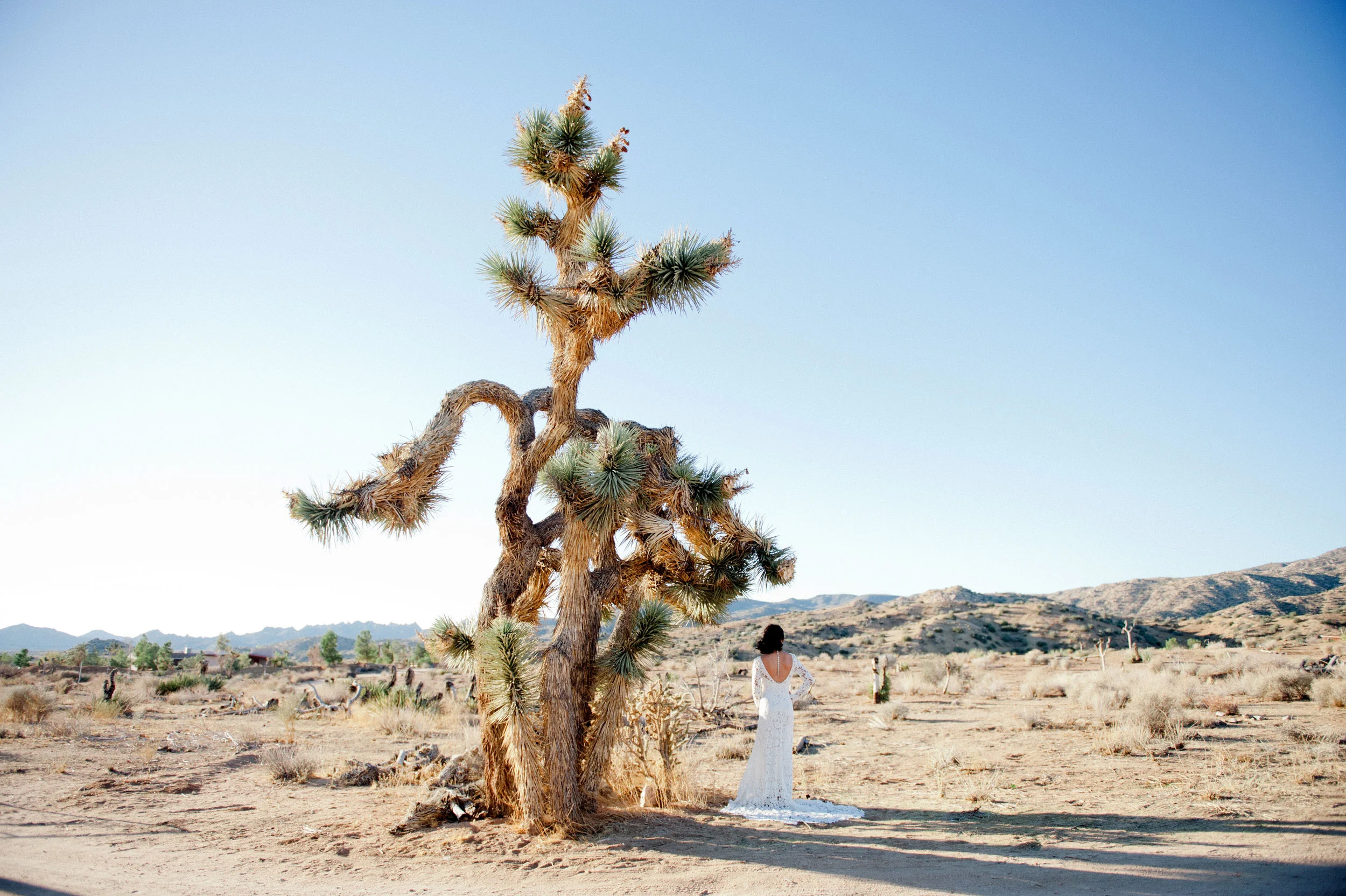 RimRockStyledShoot-122.jpg