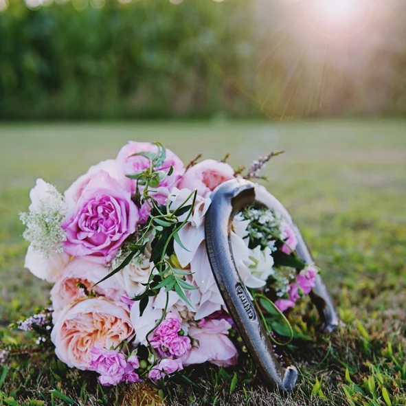 BrooksFamilySession_082014-5.jpg