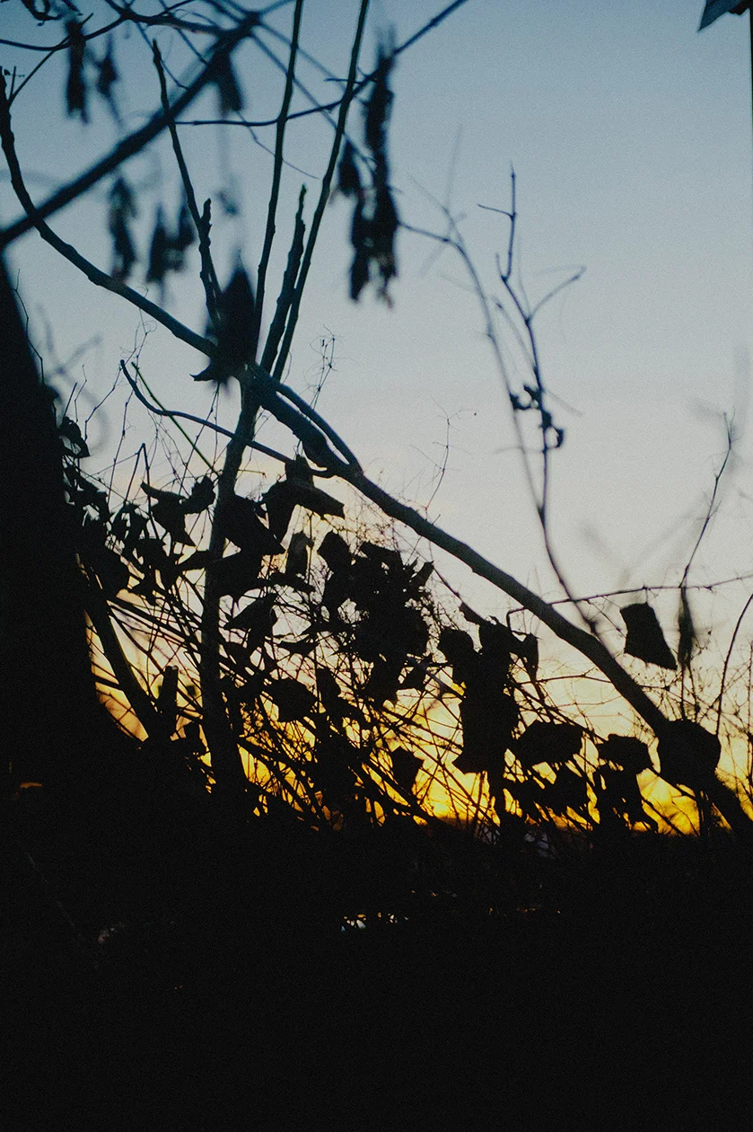 AlexBryan_HudsonNY_2016_Color445.jpg