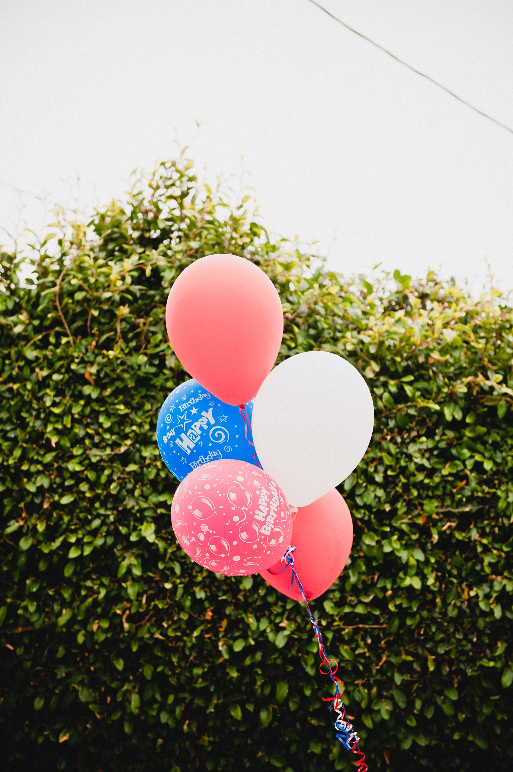 WesleyFirstBirthday-6.jpg