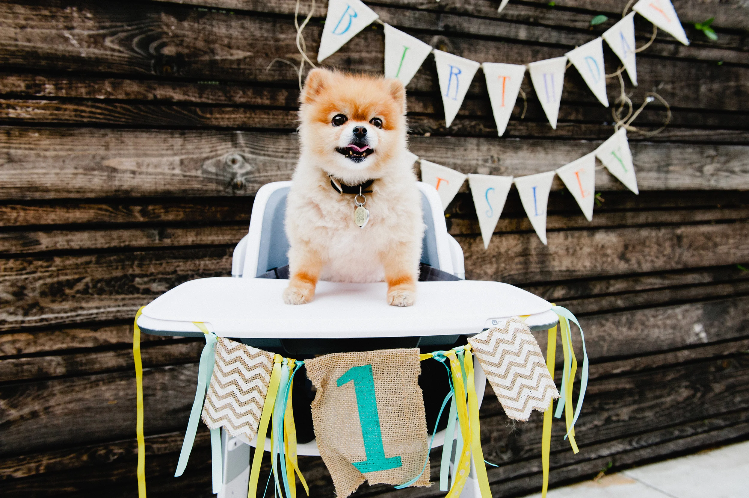 WesleyFirstBirthday-123.jpg