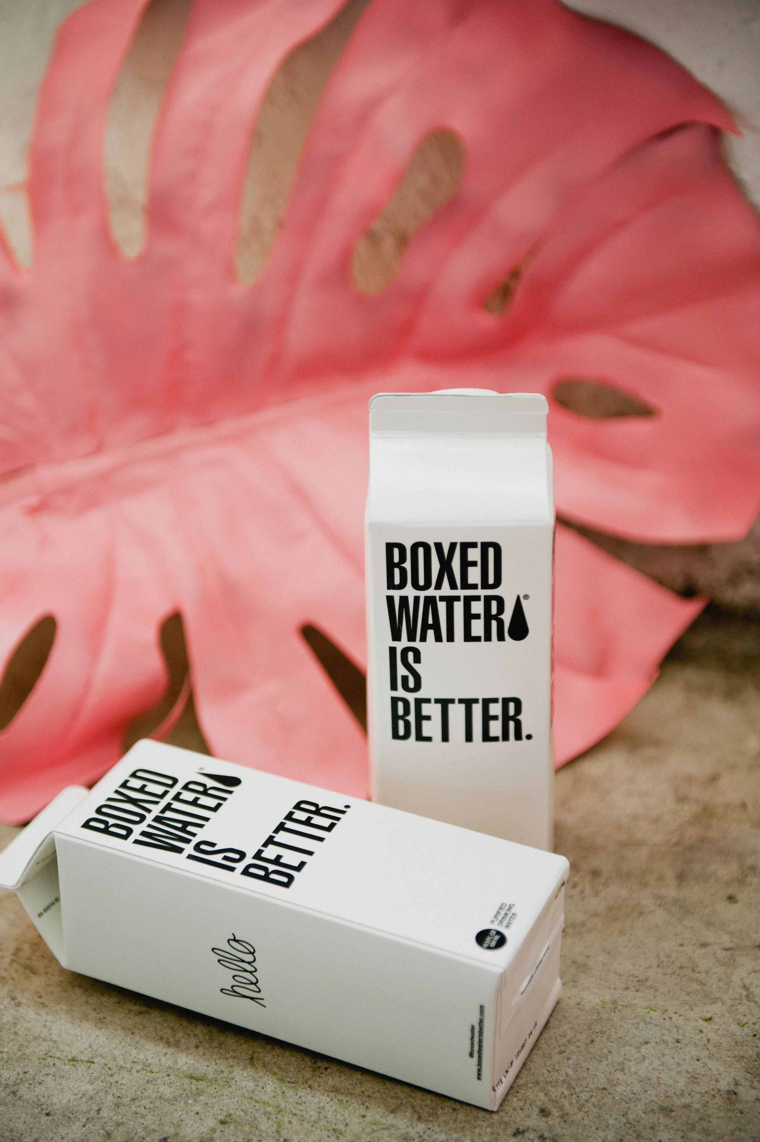 Red Anchor Photo | Sarina Cass specializes in wedding, newborn, family, food and lifestyle photography in Los Angeles, California and New York.