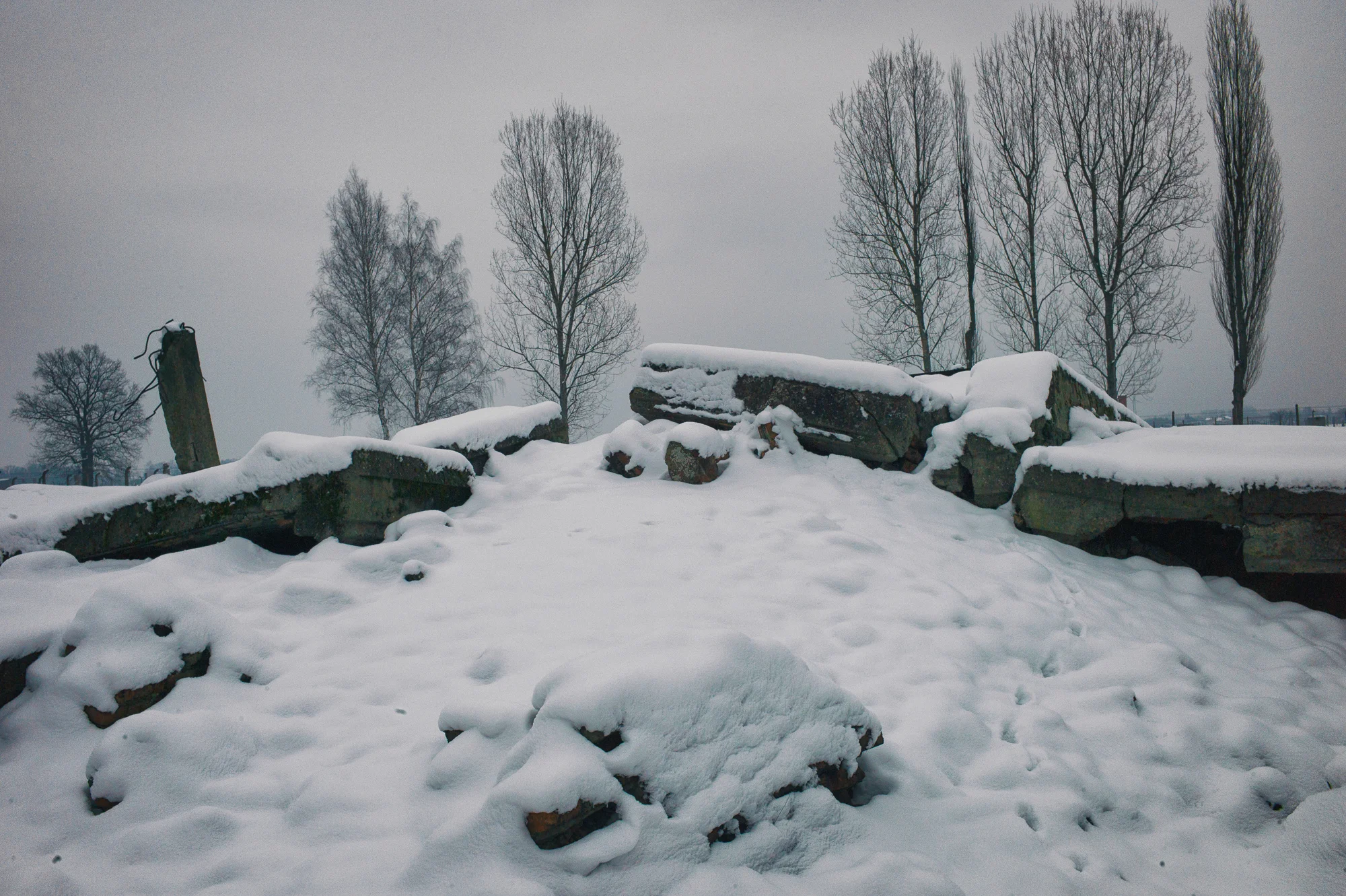  Auschwitz, Poland 