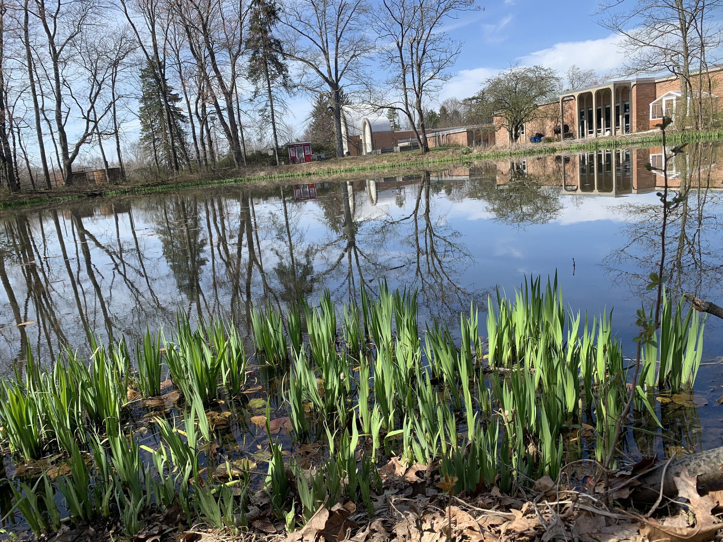 Our campus features acres of green space and a heart shaped pond.