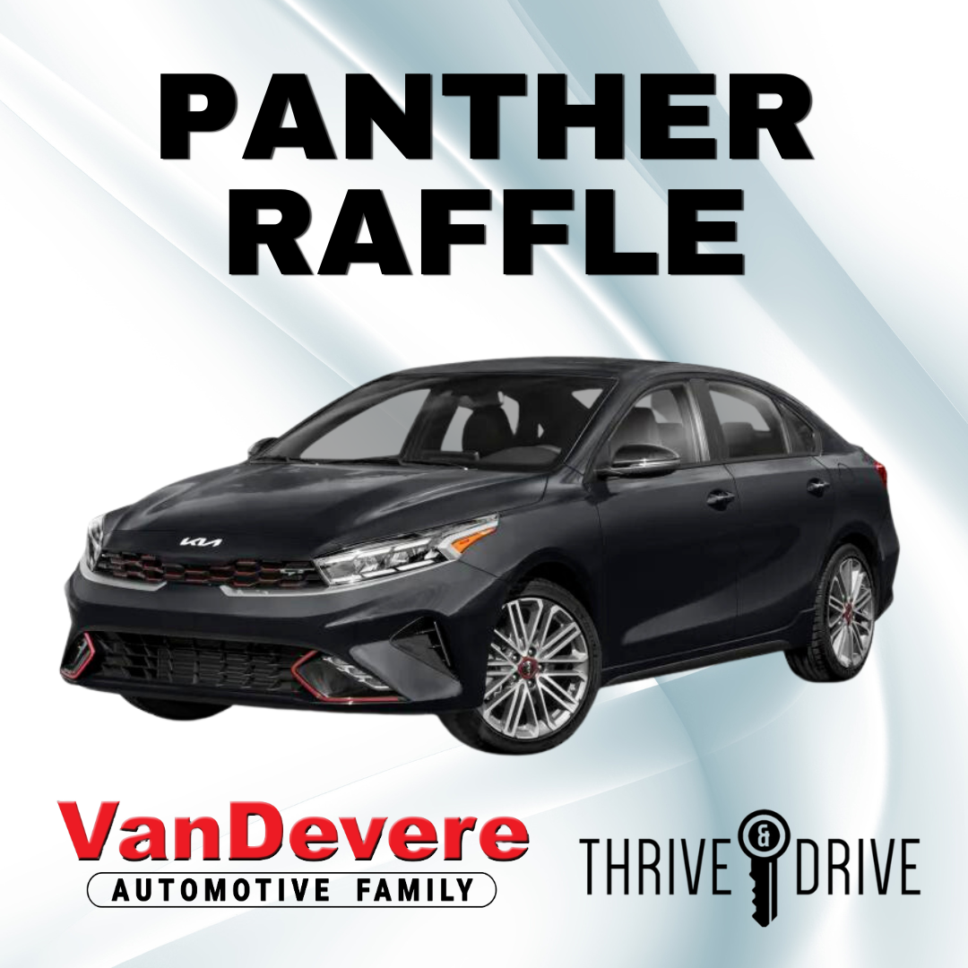 Panther Raffle - 1 Ticket — Our Lady of the Elms School