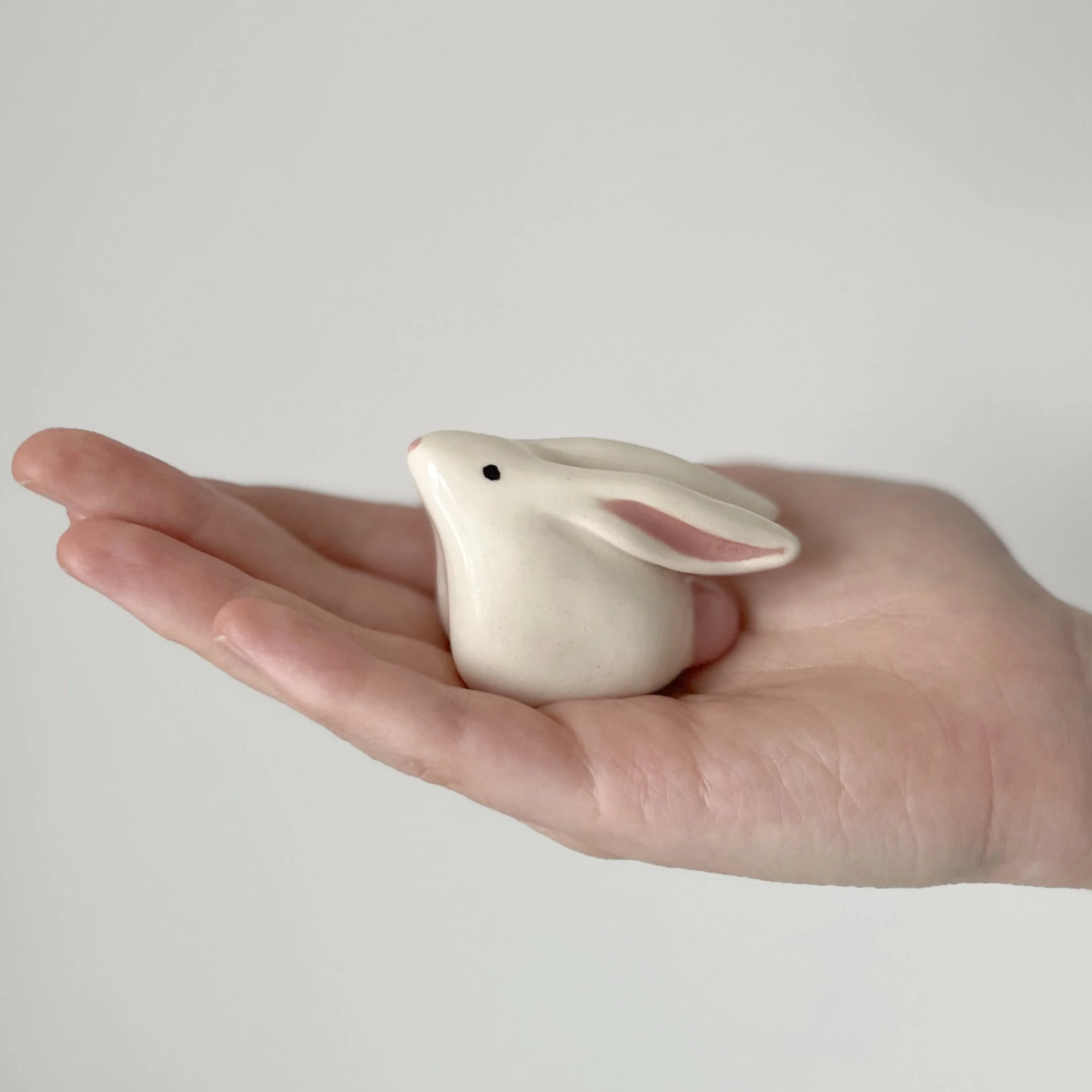 small rabbit.jpg