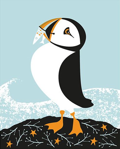 puffed+up+puffin.jpg