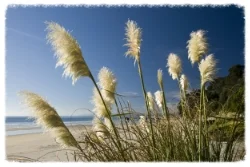 How nutrition can work for you - MSG allergy & asthma .. read on ...