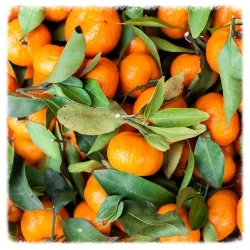 Food synergy - how to pair food to get more nutrition, it's so easy.