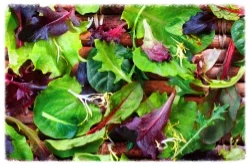 Try this prebiotic salad to boost good gut microbes for health.