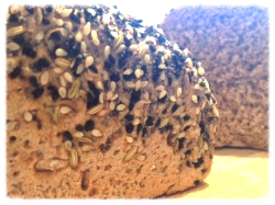 Let's talk about Gluten .. here's a few basic facts.