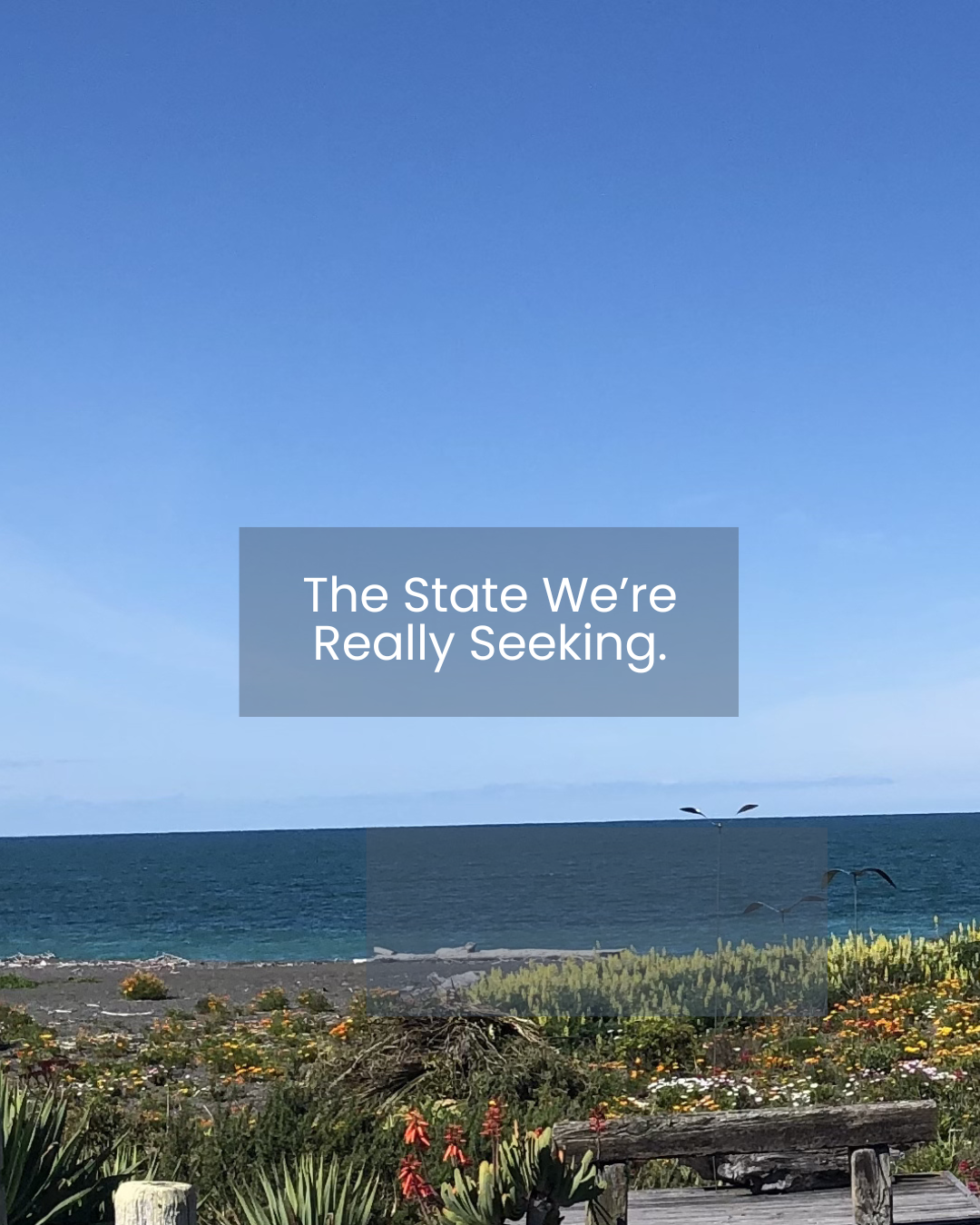 The State We're Really Seeking