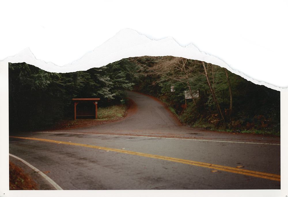 mgcmntn007.jpg