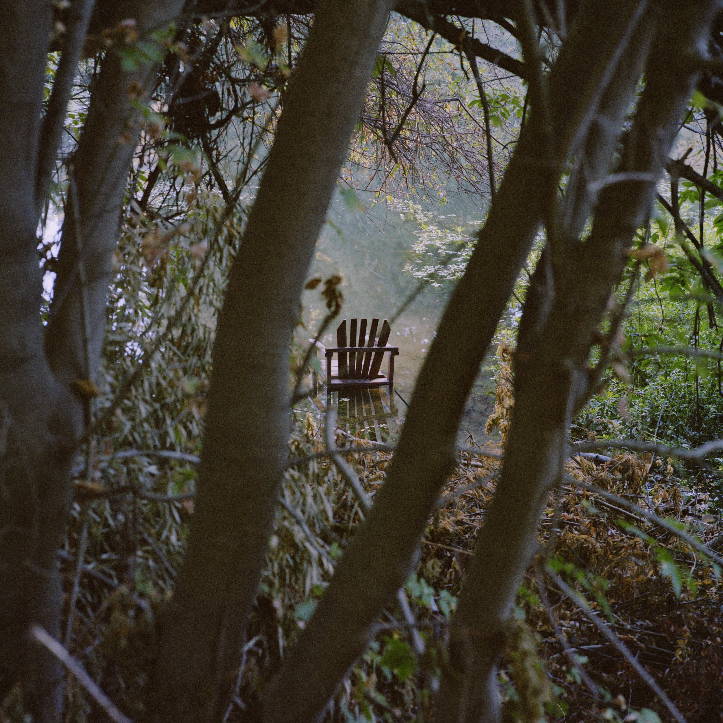 Chair.jpg