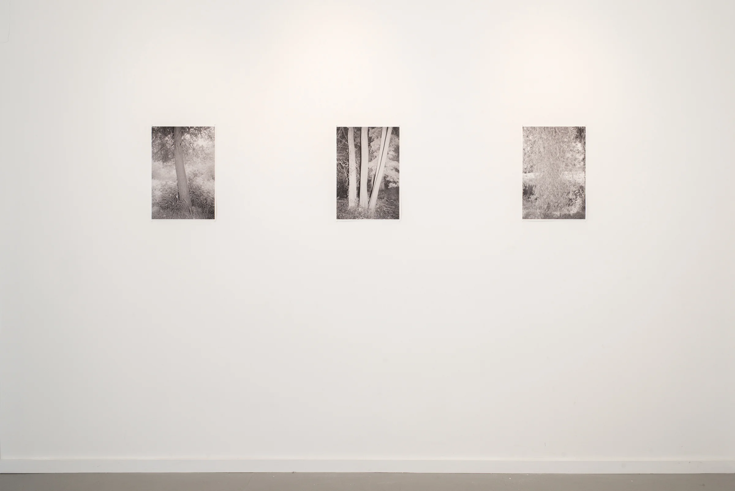  Instal shot, Slide Space, Oakland, CA. 2018 