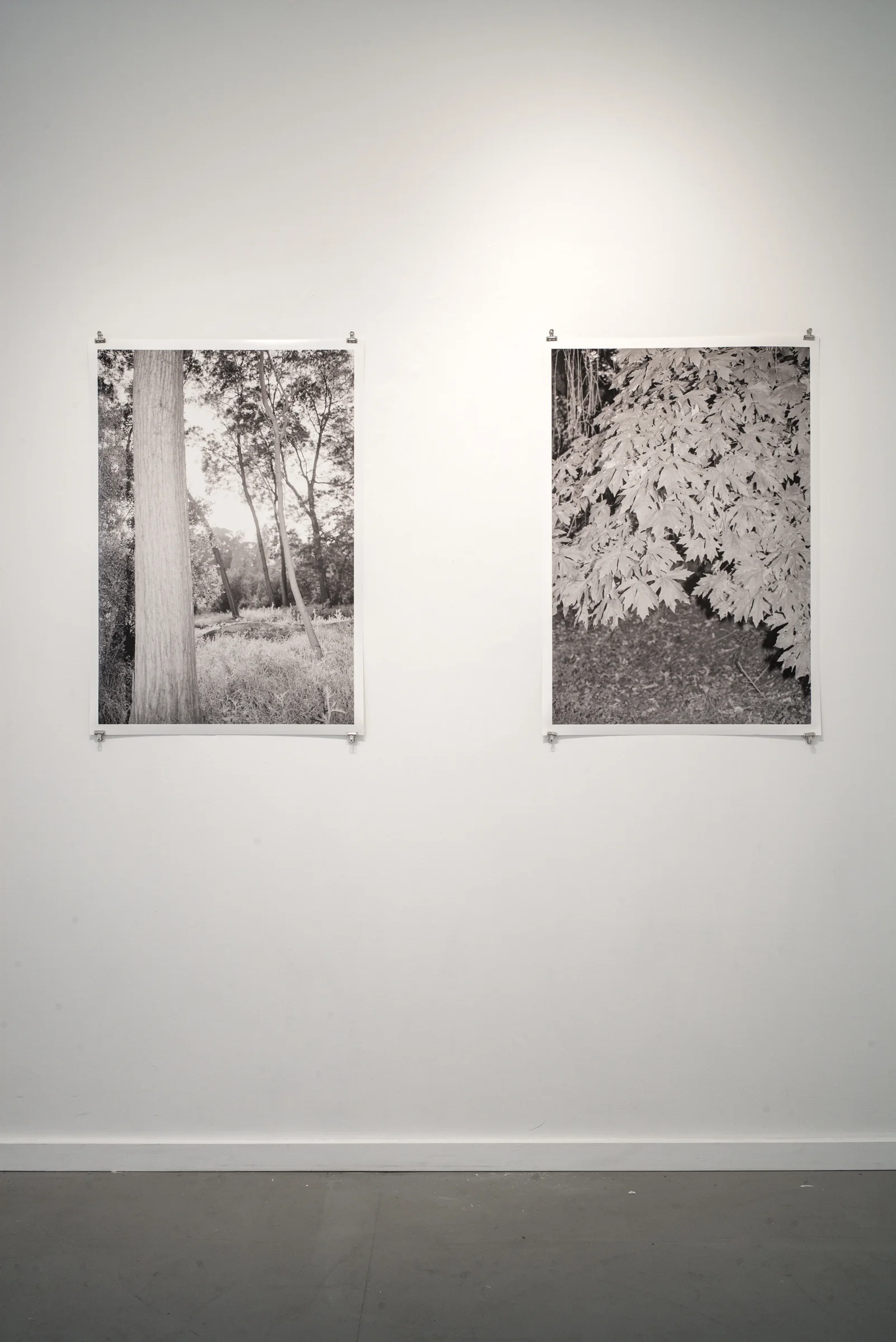  Instal shot, Slide Space, Oakland, CA. 2018 