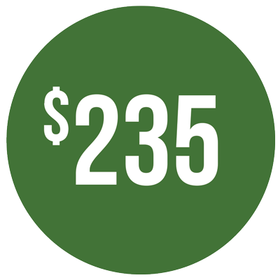 Regular price $235. Discount price $199