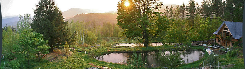 header_11-12-studio-land-ponds.jpg