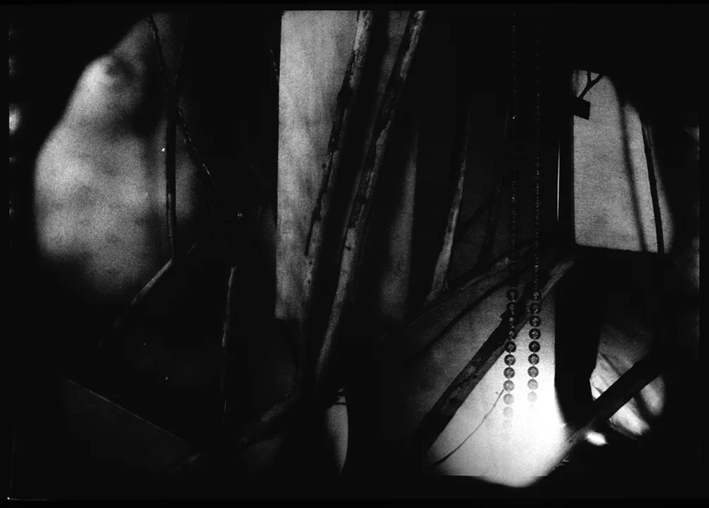  gelatin silver prints from 35mm infrared film  2005 