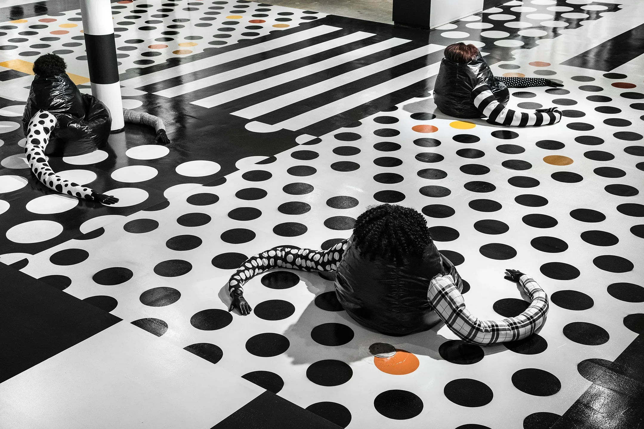 Black White and Brown