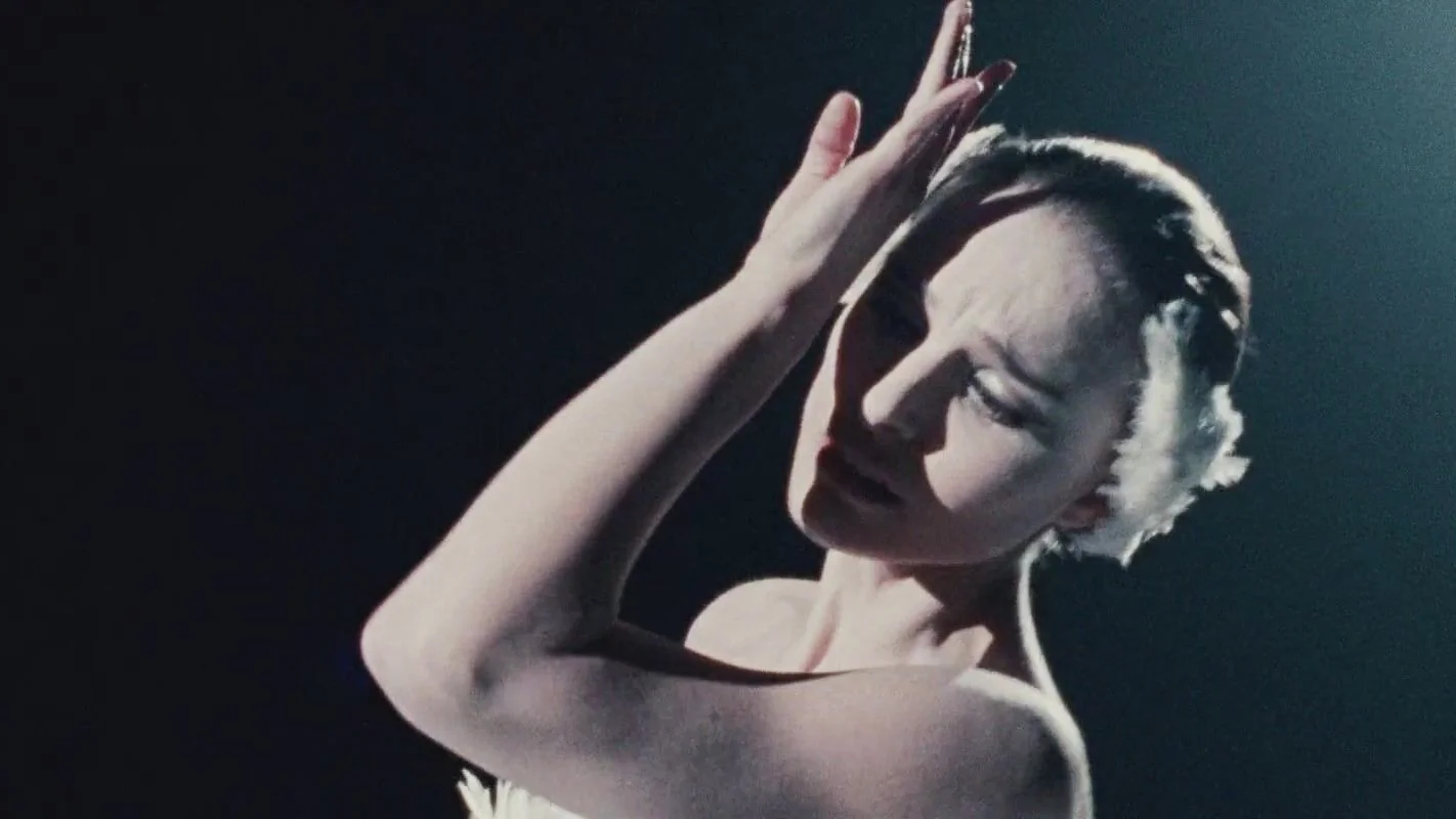 Black_Swan_01_thumb.jpg