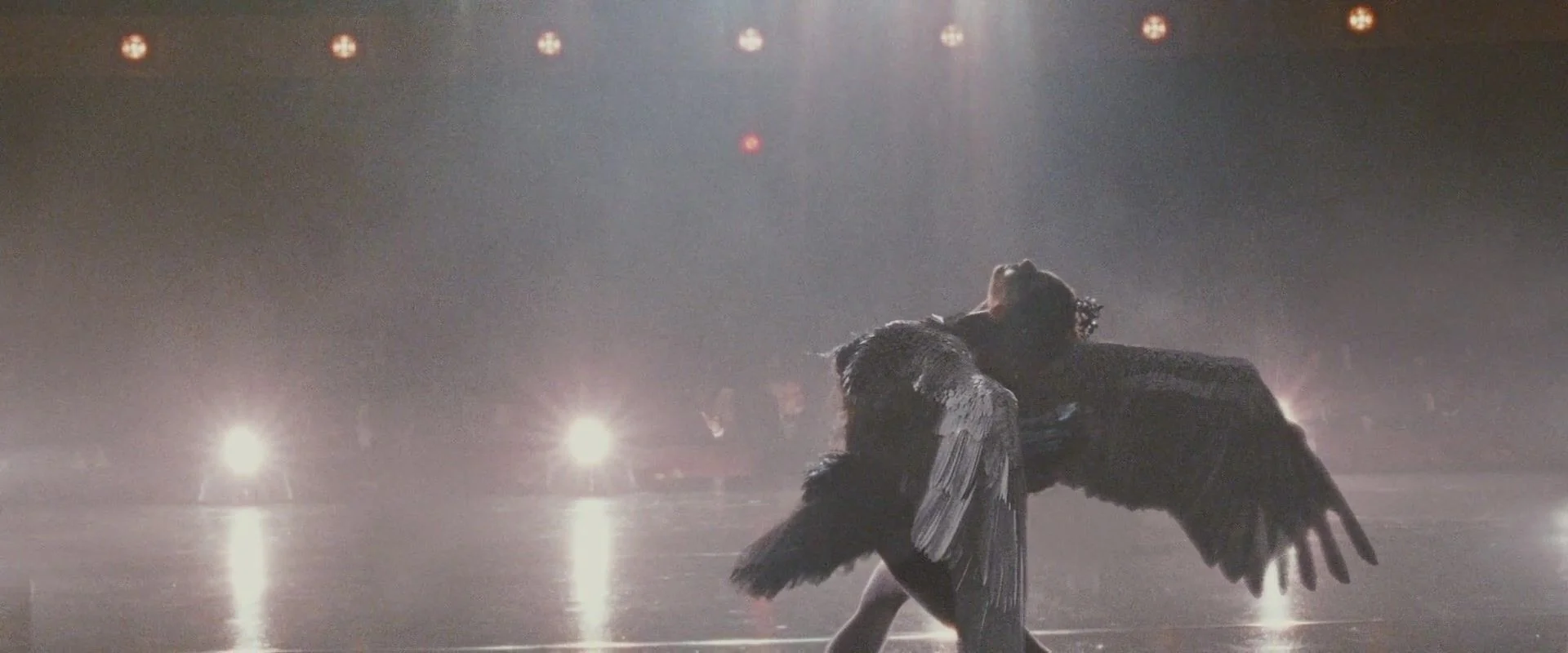 Black Swan [ Film, 2010 ]