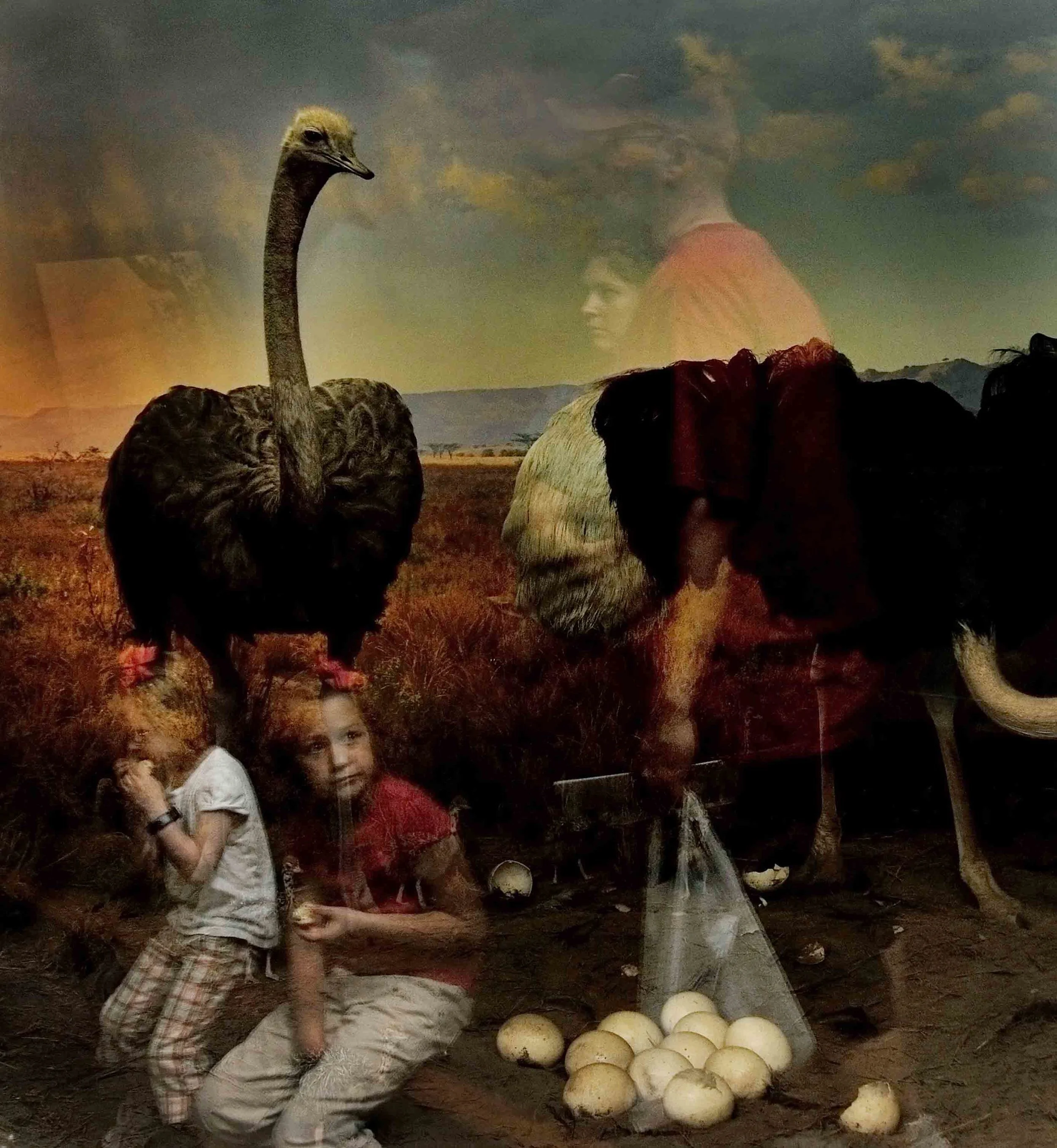Ostrich