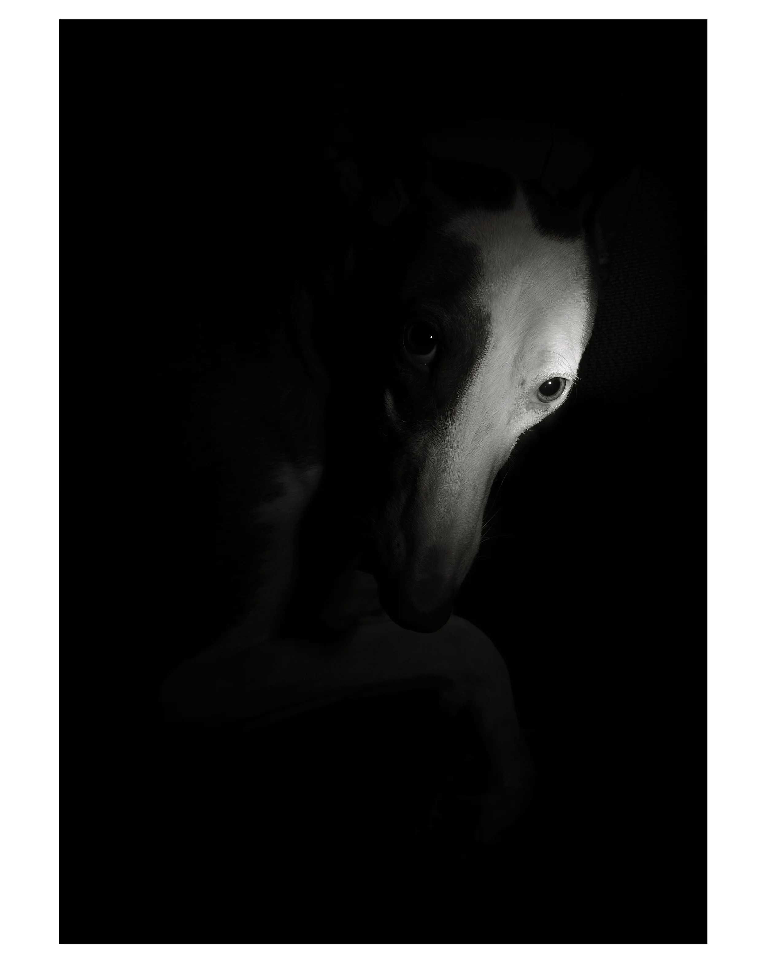 Face