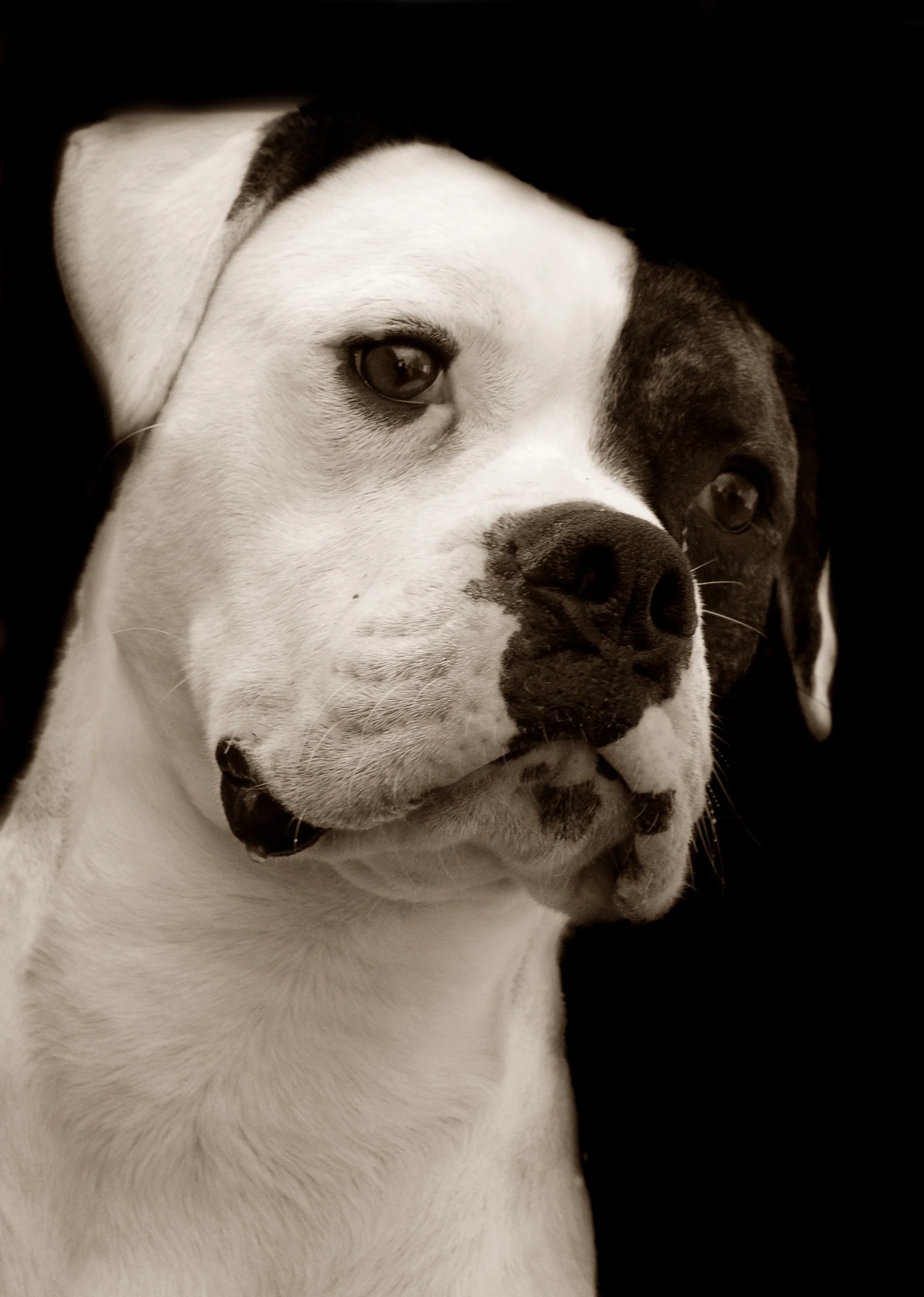 Oliver