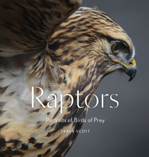 This delightful and dramatic collection of portraits reveals birds of prey as we never experience them: intimate and up close, photographed in Traer Scott's signature style. Seventy spectacular color photos present twenty-five different species, from the familiar to the exotic and endangered: hawks, owls, falcons, a bald eagle, kestrels, a Mississippi Kite, a turkey vulture, and more. Joining their elders are a fluffy baby vulture and adorable baby and juvenile great horned owls. The birds in this remarkable collection emerge as personalities, not just types: wise and quizzical, graceful and enigmatic, serene and fiercely self-possessed. A personal introduction describes Scott's process and connection to the birds, and captions detail the characteristics and habits of these incredible winged creatures.