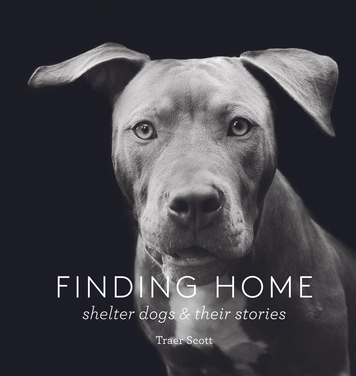 FindingHome_cover.jpg