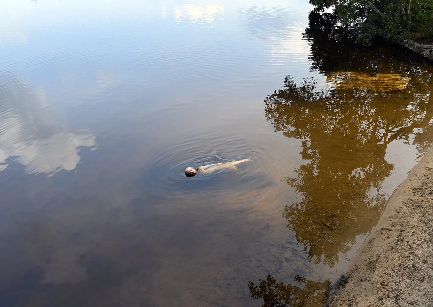 Scott_Traer_The Lake.jpg