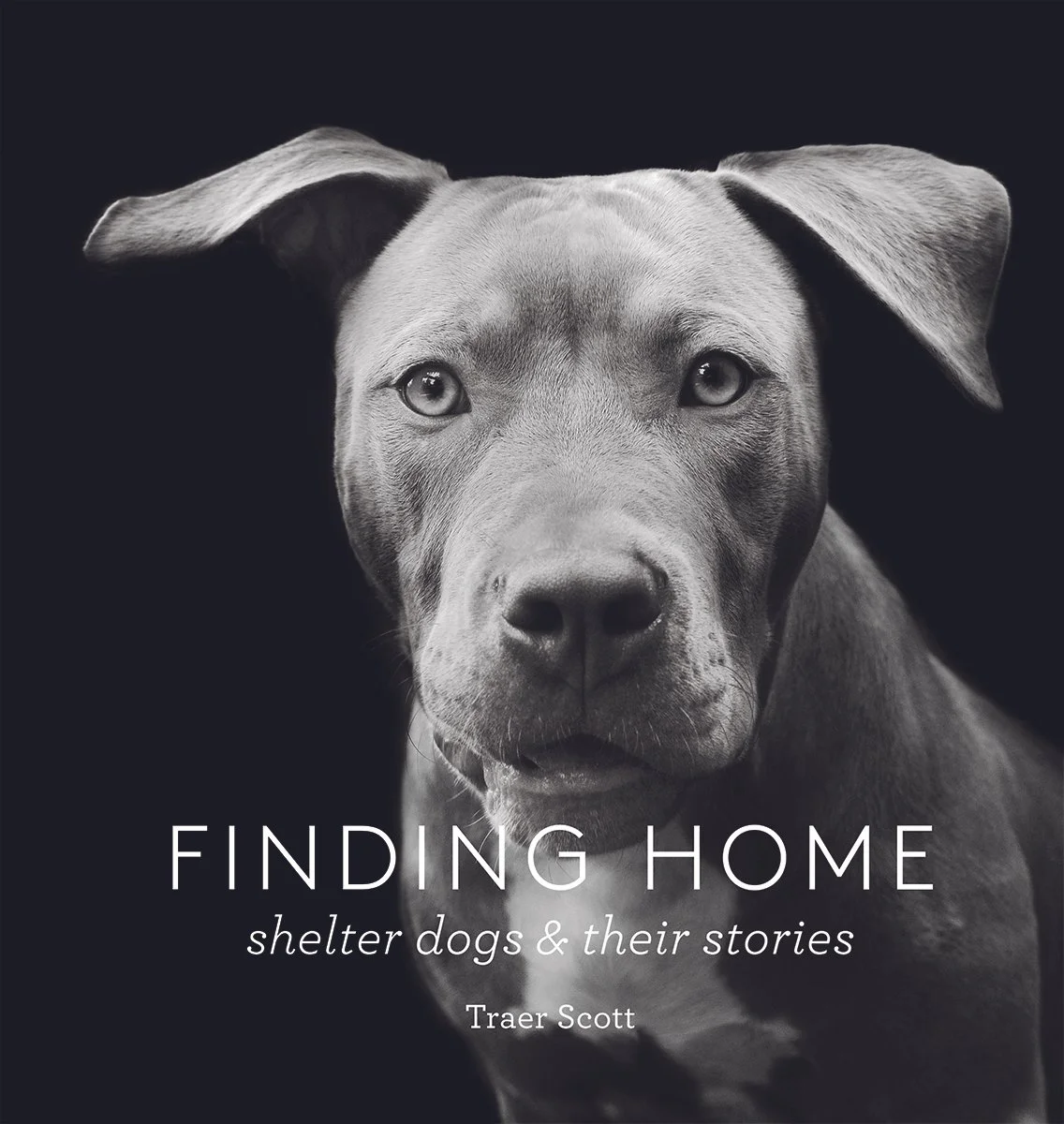 FindingHome_cover.jpg
