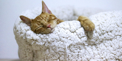 Why Rest Matters: Practical Tips for Self-Care and Stress Relief