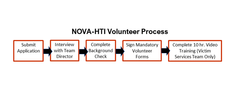 Volunteer Process Flow Diagram - no orientation.png