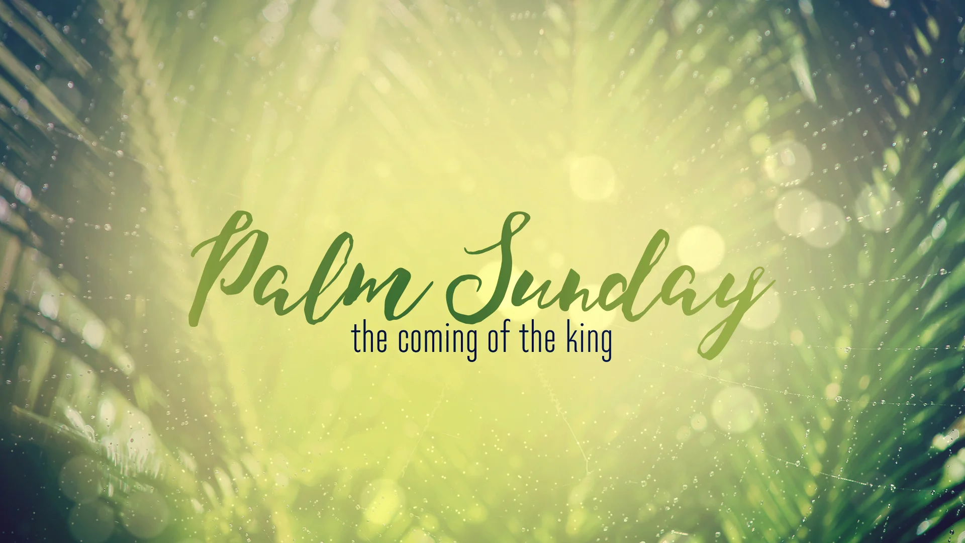 easter-week-palm-sunday-still.jpg