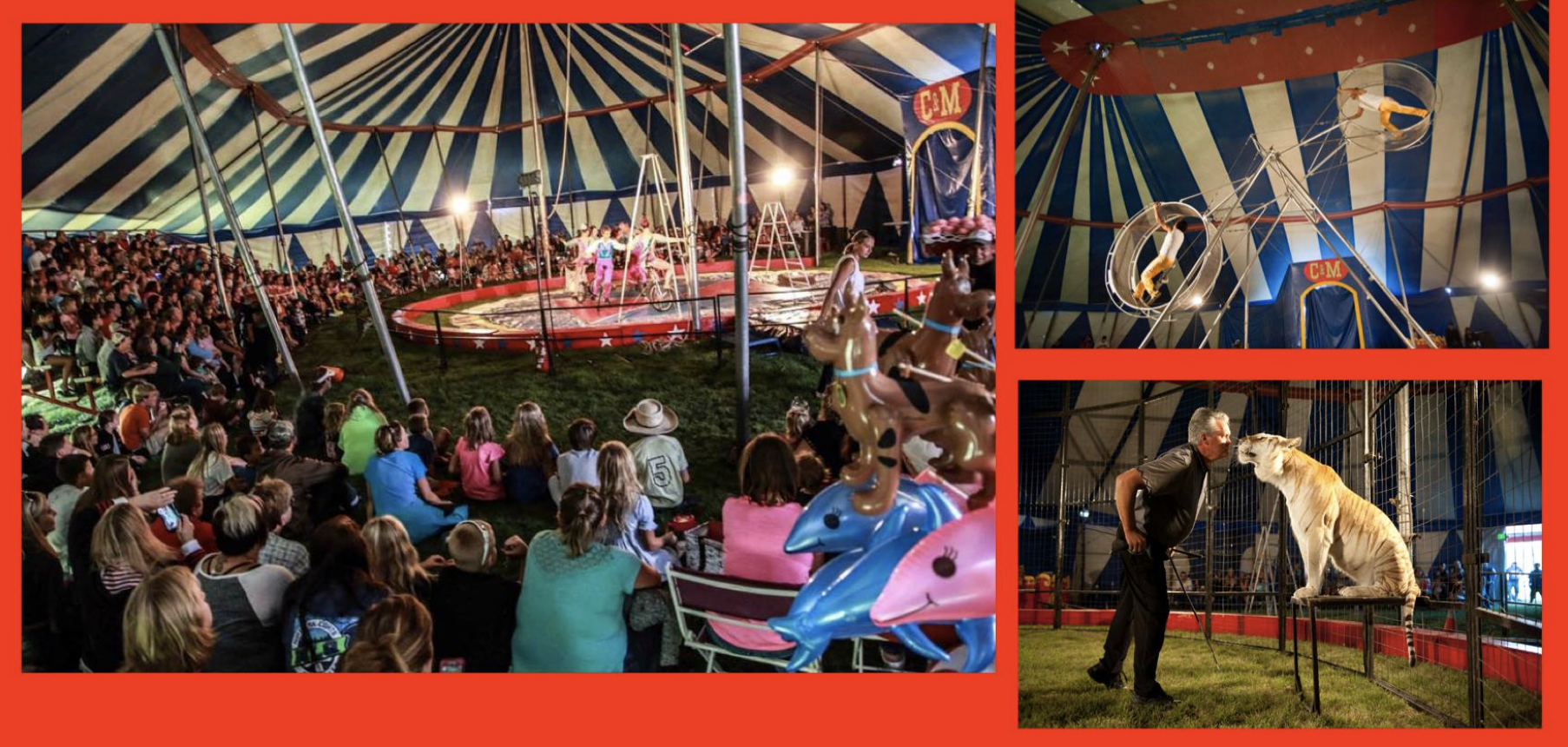 The Culpepper & Merriweather Circus is coming to Spring Grove, MN on August 1st! Two shows will be performed under our old-fashioned Big Top! Location: Next to Spring Grove Swimming Pool Showtimes: 5:00 & 7:30 (90 minute run time each show) Sponsor: Spring Grove Syttende Mai Tickets: Tickets can be purchased at a discounted price ($10 for adults and $7 for children and seniors) before circus day from... **Red's IGA in Spring Grove** **Elsie's in Caledonia** **Merchants Bank in Spring Grove & Caledonia** **BP Gas Station in Mabel & Houston** ** https://squareup.com/store/culpepper-and-merriweather-circus ** You can also call 1-866-BIGTOP-6 during regular business hours for discounted will call tickets. On circus day, tickets can be purchased at the box office and will be $13 for adults and $8 for children 2-12 and seniors 65 & up. No charge for children under the age of 2. Buy your tickets early and save! A portion of the proceeds will go to support our sponsor -- the Spring Grove Syttende Mai! Our 90 minute family-friendly show features Big Cats, unicyclists, dogs, trapeze, the Wheel of Destiny, high wire, contortion and so much more! Visit cmcircus.com to see photos and find out more information on this year's show.